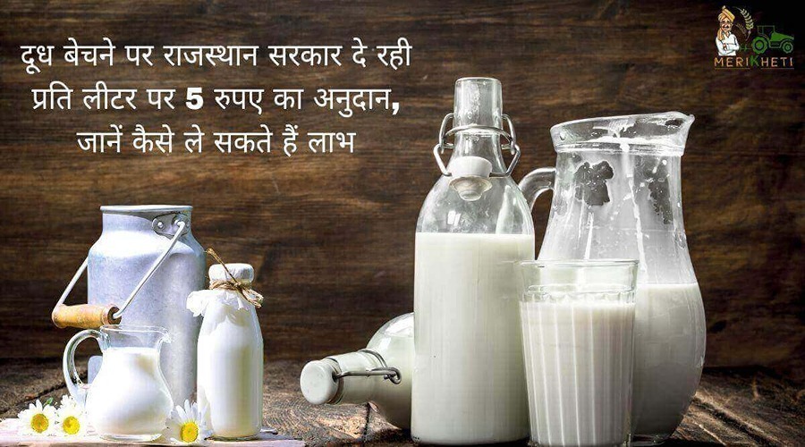 दूध बेचने पर राजस्थान सरकार दे रही है 5 रुपए अनुदान, जानें कैसे ले सकते हैं लाभ