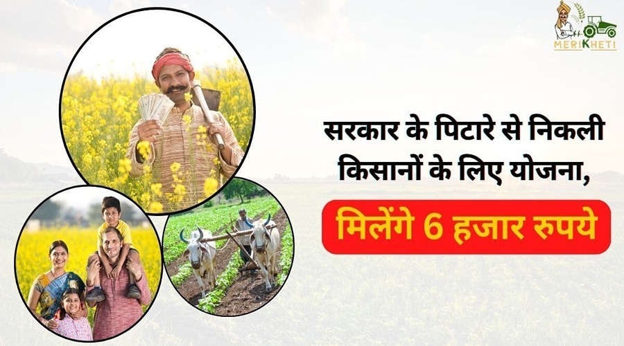 सरकार के पिटारे से निकली किसानों के लिए योजना, मिलेंगे 6 हजार रुपये