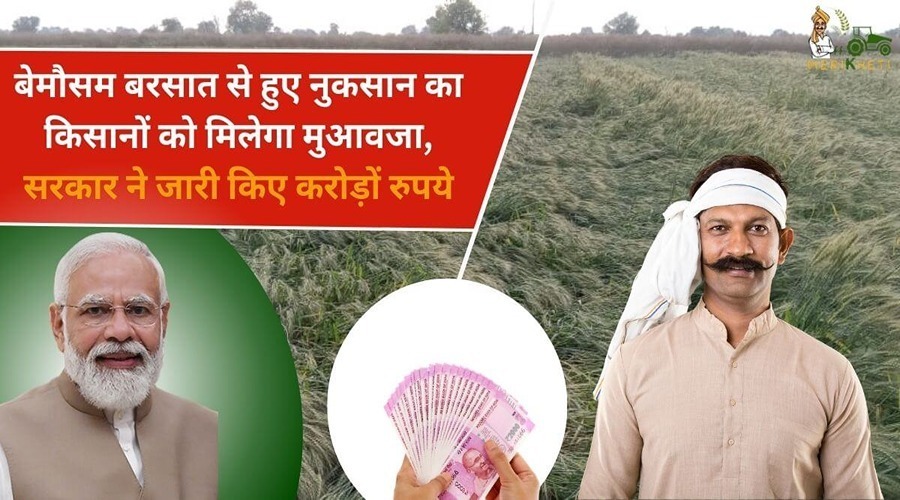 बेमौसम बरसात से हुए नुकसान का किसानों को मिलेगा मुआवजा, सरकार ने जारी किए करोड़ों रुपये