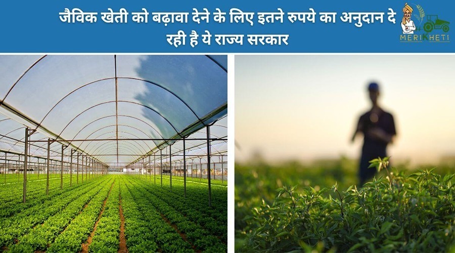 जैविक खेती को बढ़ावा देने के लिए इतने रुपये का अनुदान दे रही है ये राज्य सरकार