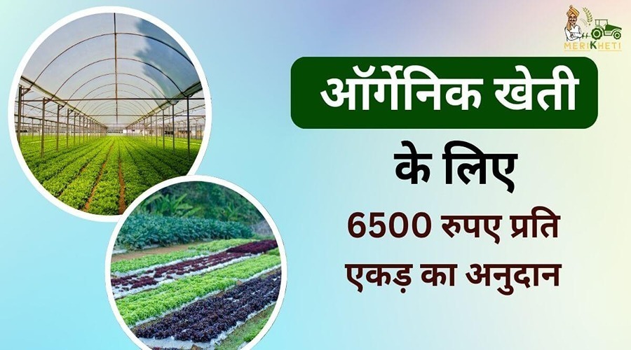 ऑर्गेनिक खेती को बढ़ावा देने के लिए इस राज्य में मिल रहा 6500 रुपए प्रति एकड़ का अनुदान