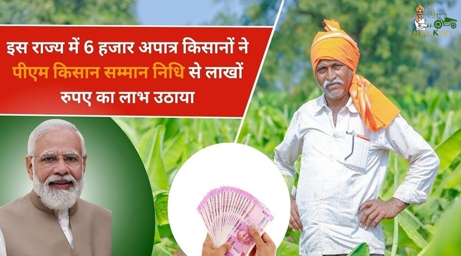 इस राज्य में 6 हजार अपात्र किसानों ने पीएम किसान सम्मान निधि से लाखों रुपए का लाभ उठाया