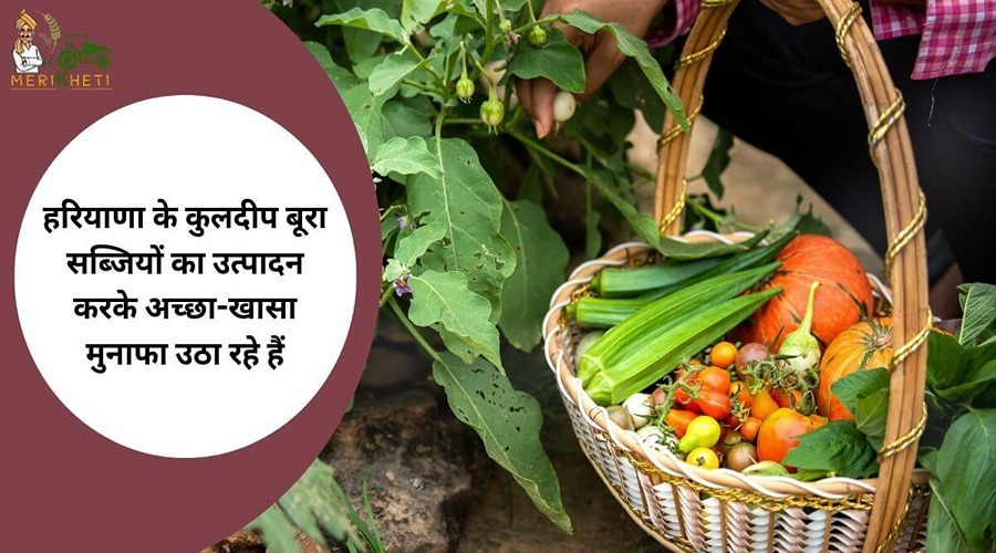 हरियाणा के कुलदीप बूरा सब्जियों का उत्पादन करके अच्छा-खासा मुनाफा उठा रहे हैं