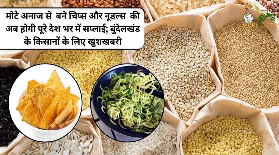 मोटे अनाज से बने चिप्स और नूडल्स की अब होगी पूरे देश भर में सप्लाई; बुंदेलखंड के किसानों के लिए खुशखबरी