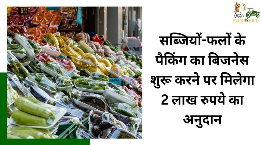 सब्जियों-फलों के पैकिंग का बिजनेस शुरू करने पर मिलेगा 2 लाख रुपये का अनुदान, यहां करें आवेदन