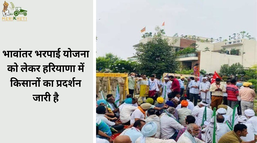 भावांतर भरपाई योजना को लेकर हरियाणा में किसानों का प्रदर्शन जारी है