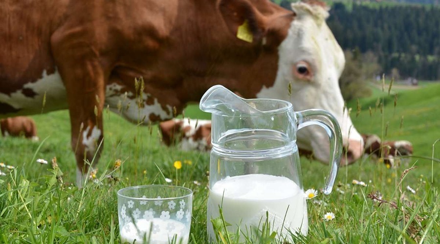  Take special care of these things to overcome the lack of milk production