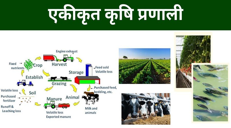 How much benefit will be given by farming under an integrated farming system?