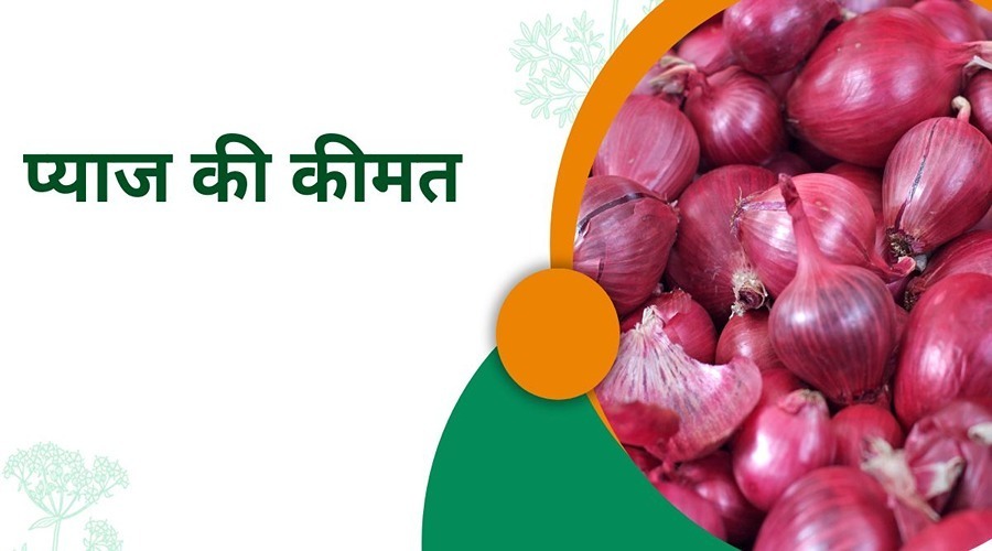 The price of onions has crossed over 100 rupees, still the government has not taken any action yet.
