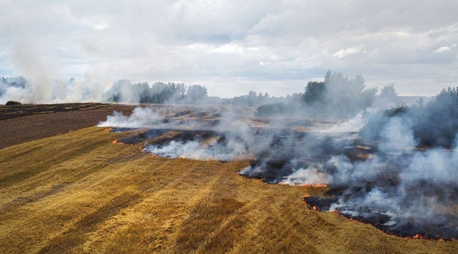 NGT ने पराली जलाने के चलते बढ़ते प्रदूषण को लेकर पंजाब-हरियाणा सरकार से नाखुशी जताई