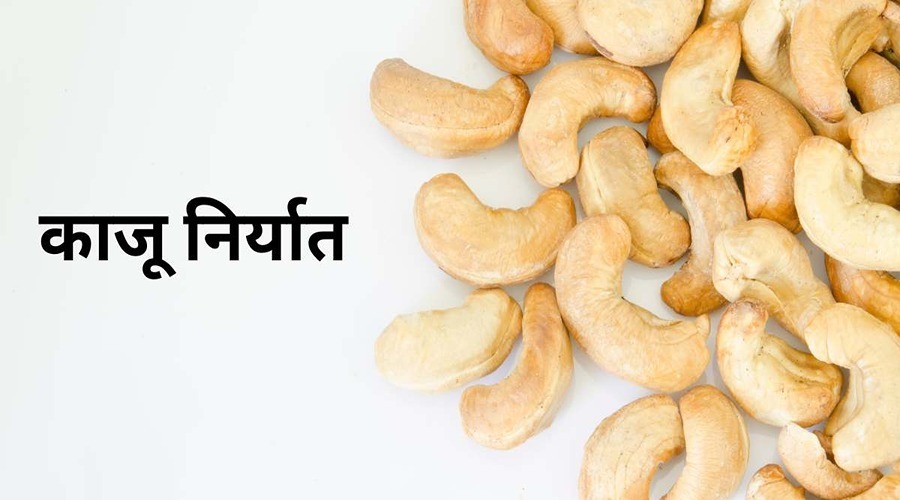 First consignment of cashew from Odisha exported to Bangladesh in collaboration with APEDA