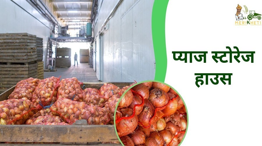 75% subsidy on opening onion storage houses in this state