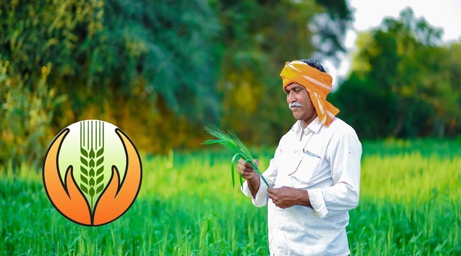 PMFBY: What do farmers have to say about PM crop insurance scheme?