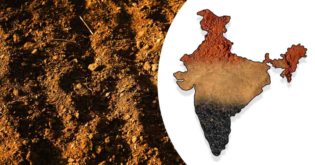 Types of Soil in India: Characteristics, Crops, and Importance