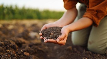 Sandy Soil: What is sandy soil and in which area is it found most?