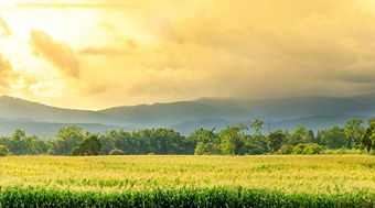 After an MBA, the farmer gets a profit worth lakhs by choosing farming instead of a job