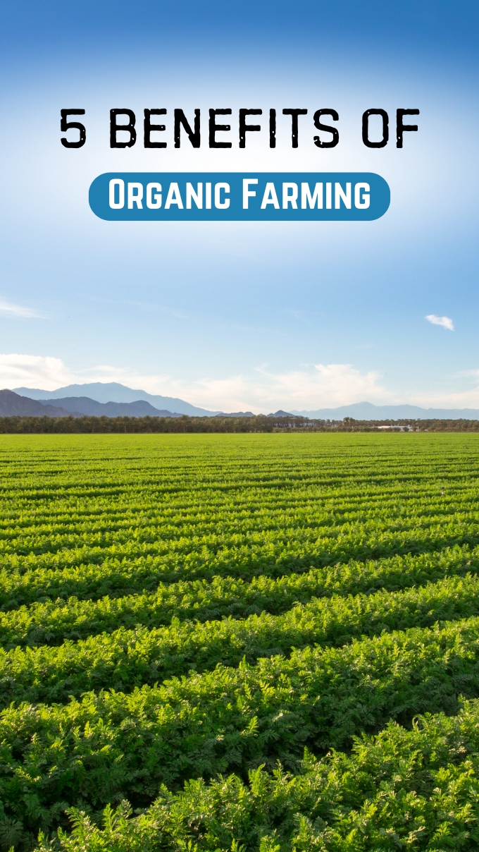 5 Benefits of Organic Farming