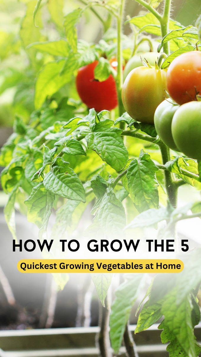How to Grow the 5 Quickest Growing Vegetables at Home.