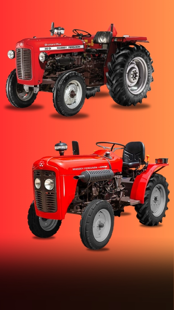 Massey Ferguson Tafe 30 DI Orchard और Massey Ferguson 5118 बागवानी के लिए TAFE की नई पेशकश