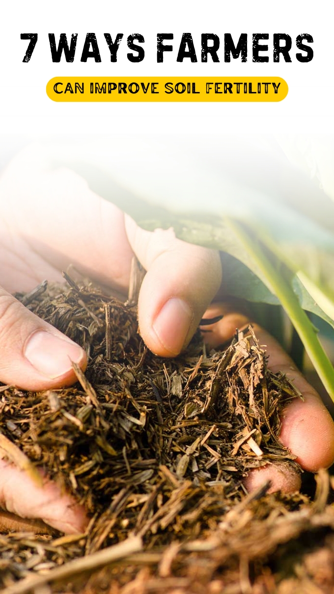 7 Ways Farmers Can Improve Soil Fertility