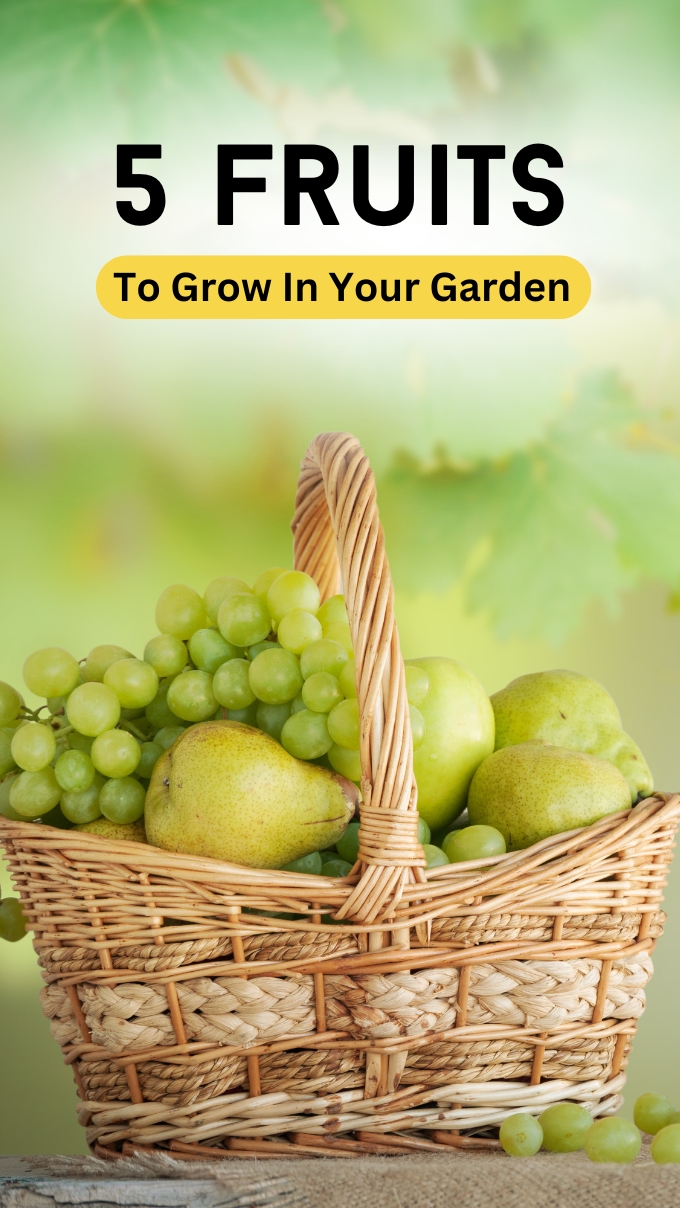5 Fruits To Grow In Your Garden